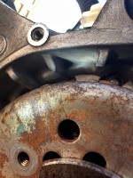 IMG_1145.jpeg